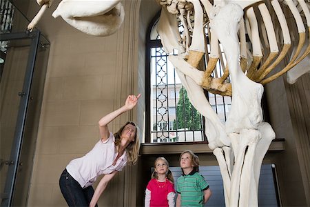 photograph woman and skeleton - Mother and children looking at an elephant skeleton Stock Photo - Premium Royalty-Free, Code: 614-02344408