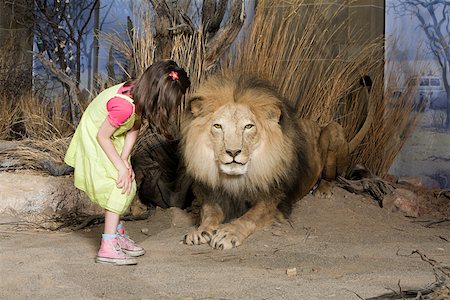 Girl looking at a stuffed lion in a museum Stock Photo - Premium Royalty-Free, Code: 614-02344424