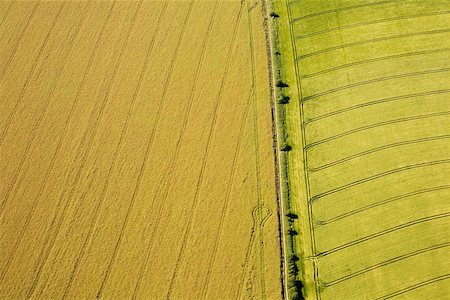 sussex - Aerial view of sussex fields Stock Photo - Premium Royalty-Free, Code: 614-02343853