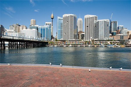 sydney skyline - Darling harbour Stock Photo - Premium Royalty-Free, Code: 614-02392736