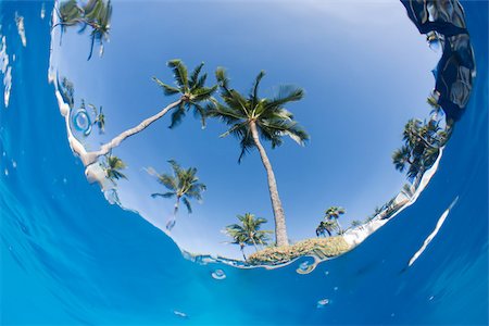 fish eye view - View from under the sea Stock Photo - Premium Royalty-Free, Code: 614-02679559