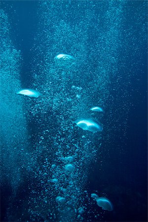 similan islands - Bubbles from scuba diving Stock Photo - Premium Royalty-Free, Code: 614-02679629