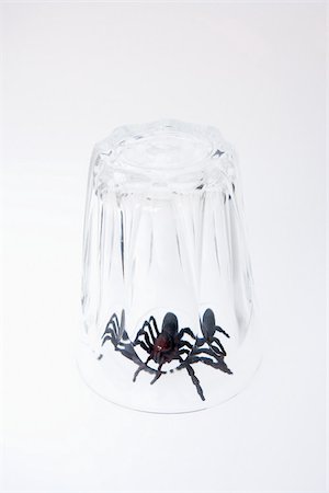 spider - A toy spider trapped under a glass Stock Photo - Premium Royalty-Free, Code: 614-02764252