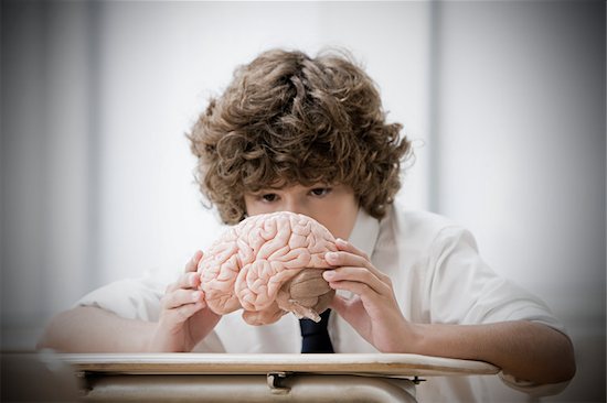 Boy with model brain Stock Photo - Premium Royalty-Free, Image code: 614-02762646