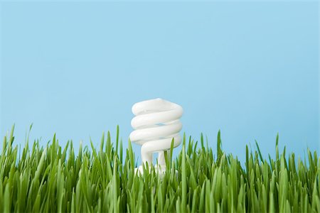 energy efficient - An energy saving lightbulb Stock Photo - Premium Royalty-Free, Code: 614-02763183