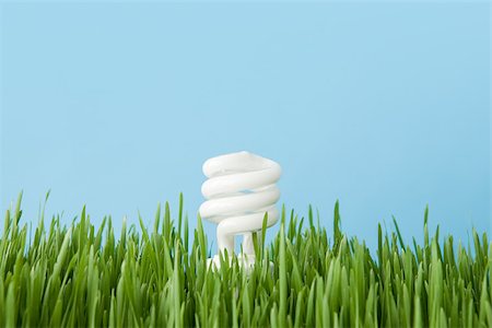 energy efficient compact fluorescent light bulb - An energy saving lightbulb Stock Photo - Premium Royalty-Free, Code: 614-02763183