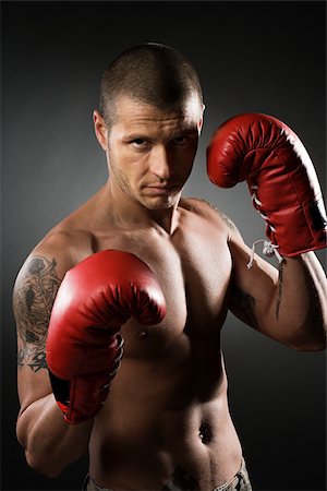 Portrait of a boxer Foto de stock - Sin royalties Premium, Código: 614-02763479
