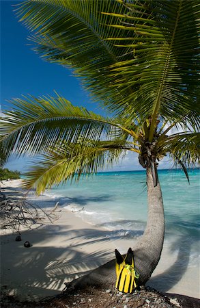 Tropical view from beach. Stock Photo - Premium Royalty-Free, Code: 614-02837603