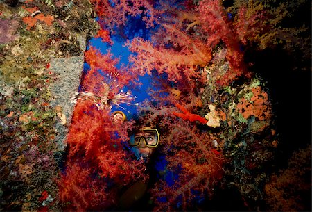 simsearch:614-03784248,k - Scuba diver on shipwreck. Fotografie stock - Premium Royalty-Free, Codice: 614-02837821