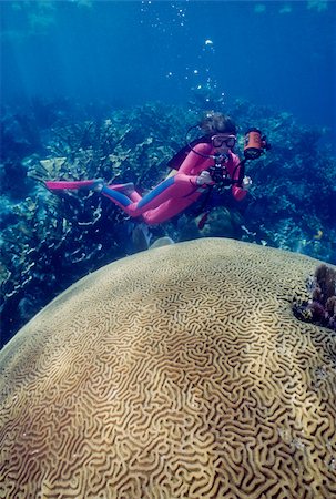 Diver with large brain coral. Stock Photo - Premium Royalty-Free, Code: 614-02837832