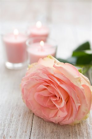 Rose and candles Stock Photo - Premium Royalty-Free, Code: 614-02934446