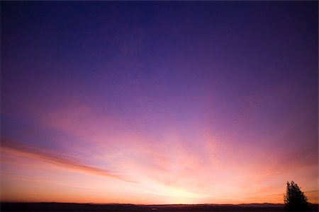 dawn silhouettes - Sunset sky Stock Photo - Premium Royalty-Free, Code: 614-02984292