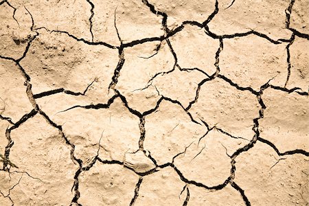 earth crack - Cracked earth Stock Photo - Premium Royalty-Free, Code: 614-02985440