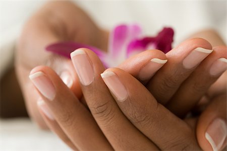 Hands holding a flower Stock Photo - Premium Royalty-Free, Code: 614-02983942