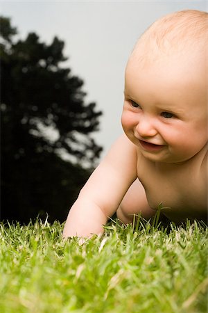 Baby crawling on grass Stock Photo - Premium Royalty-Free, Code: 614-03080095