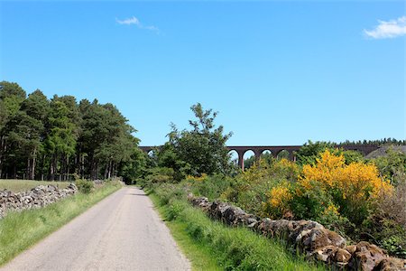 Culloden moor and viaduct Stock Photo - Premium Royalty-Free, Code: 614-03080770