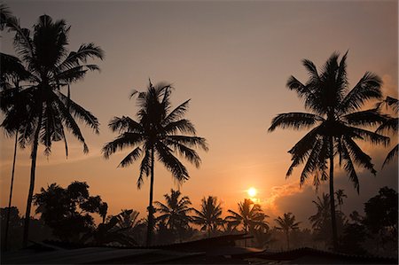 Sunrise in lombok indonesia Stock Photo - Premium Royalty-Free, Code: 614-03241255