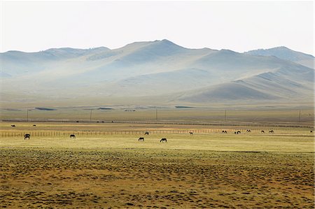 steppe horse - Mongolian steppes landscape Stock Photo - Premium Royalty-Free, Code: 614-03393748