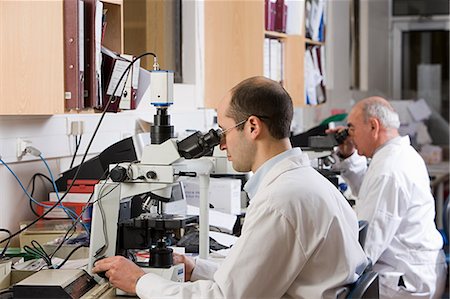 pathology - Lab technicians using microscopes Stock Photo - Premium Royalty-Free, Code: 614-03454566
