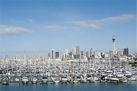 Auckland skyline Stock Photo - Premium Royalty-Free, Code: 614-03454958