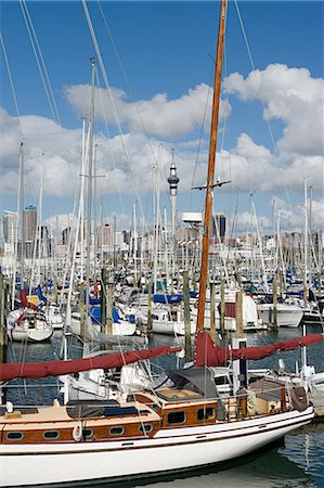 Westhaven Marina, Auckland Foto de stock - Royalty Free Premium, Número: 614-03455014