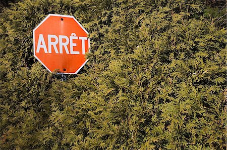 Stop sign in hedge Foto de stock - Royalty Free Premium, Número: 614-03455050