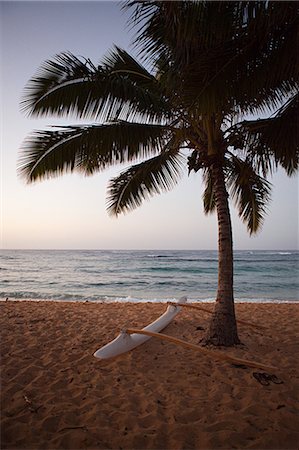 paradise palm - Outrigger canoe and palm tree on hawaiian beach Stock Photo - Premium Royalty-Free, Code: 614-03455068