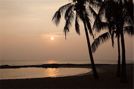 paradise holiday scene - Palm trees on beach at sunset Stock Photo - Premium Royalty-Free, Code: 614-03455090