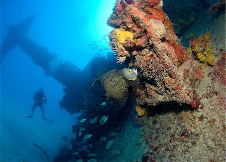 scuba-diving - Scuba diver on shipwreck. Stock Photo - Premium Royalty-Free, Code: 614-03551534