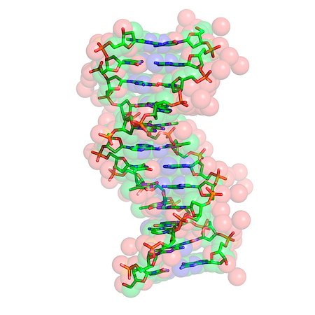 DNA molecule Stock Photo - Premium Royalty-Free, Code: 614-03648556