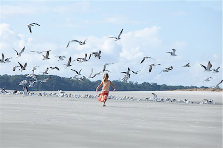 seagull flying - Girl running on beach amongst seagulls Stock Photo - Premium Royalty-Free, Code: 614-03648714