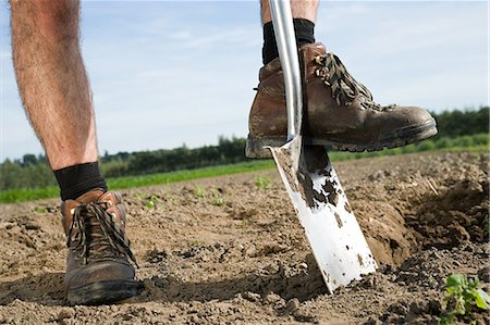 soil farm - Farmer digging in field Foto de stock - Sin royalties Premium, Código: 614-03684500