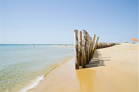 Groynes on beach, Cap Ferret, Cote d' Argent, France Stock Photo - Premium Royalty-Free, Code: 614-03747155