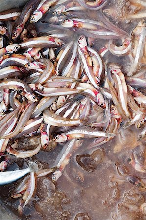 poisson mort - Anchois à vendre chez les poissons du matin sur le marché, la baie du Bengale, Tamil Nadu Photographie de stock - Premium Libres de Droits, Code: 614-03818910