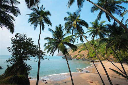 scenic india - Palm trees and beach, Goa, India Stock Photo - Premium Royalty-Free, Code: 614-03902145