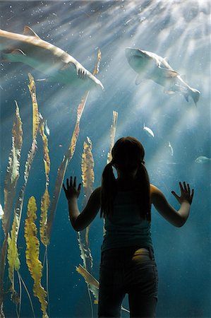 shark silhouettes - Girl watching sharks in aquarium Stock Photo - Premium Royalty-Free, Code: 614-03903658