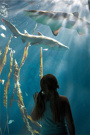 fish (marine life) - Girl watching sharks in aquarium Stock Photo - Premium Royalty-Free, Code: 614-03903659
