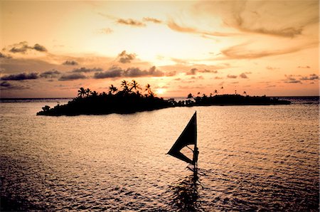 Planche au coucher du soleil Photographie de stock - Premium Libres de Droits, Code: 614-03903786