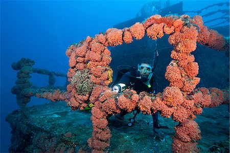 ruiné - Scuba diver on shipwreck Foto de stock - Sin royalties Premium, Código: 614-03903824