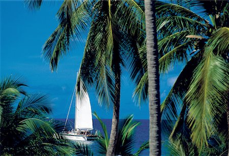 simsearch:610-00799275,k - Français des Antilles, Guadeloupe, voilier Photographie de stock - Premium Libres de Droits, Code: 610-00255756