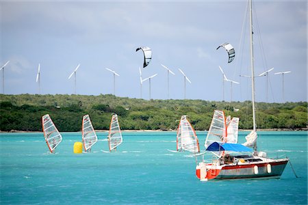 French West Indies, Guadeloupe, Saint Francois, regatta Stock Photo - Premium Royalty-Free, Code: 610-03504584