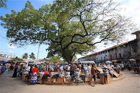 Tanzanie, Zanzibar (île d'Unguja), ville de Zanzibar, le marché de Stone Town. Photographie de stock - Premium Libres de Droits, Code: 610-03503254