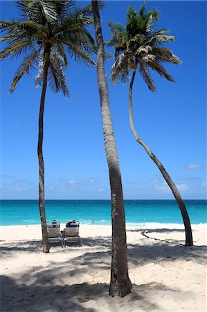 simsearch:610-03810614,k - Plage de sable blanc de fond de la baie, la Barbade, Photographie de stock - Premium Libres de Droits, Code: 610-03810606