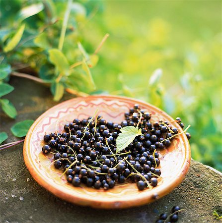 Blackcurrants on a plate, close-up. Stock Photo - Premium Royalty-Free, Code: 6102-03748128