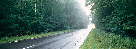 A wet country road. Stock Photo - Premium Royalty-Free, Code: 6102-03748131