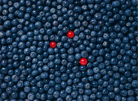 Three lingonberries in a heap of blueberries, close-up. Stock Photo - Premium Royalty-Free, Code: 6102-03748253