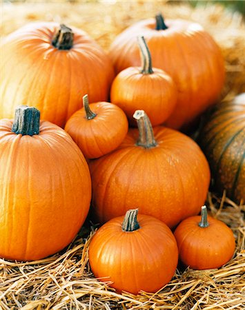 simsearch:6102-08184020,k - A pile of orange pumpkins, close-up. Stock Photo - Premium Royalty-Free, Code: 6102-03748438