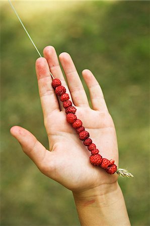 fragaria vesca - Wild strawberries on a straw. Foto de stock - Sin royalties Premium, Código: 6102-03748726