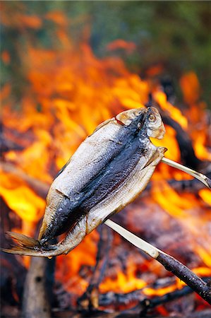 simsearch:6102-03867440,k - Ein gegrillter Fisch über offenen Feuer. Stockbilder - Premium RF Lizenzfrei, Bildnummer: 6102-03749042