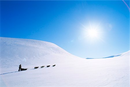 simsearch:6102-03750740,k - A dog sledge in the mountains. Foto de stock - Sin royalties Premium, Código: 6102-03749866